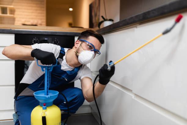 Best Pest Prevention Services  in Maria Stein, OH