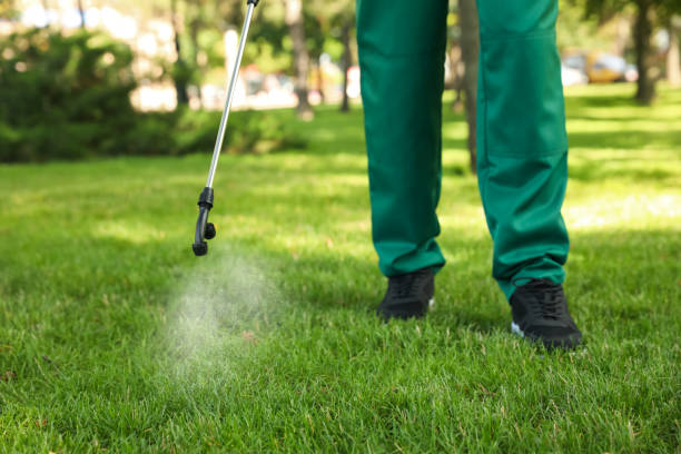 Pest Control for Restaurants in Maria Stein, OH