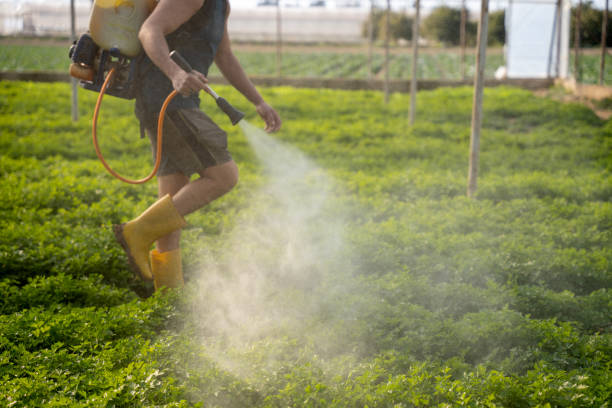 Best Pest Control for Restaurants  in Maria Stein, OH