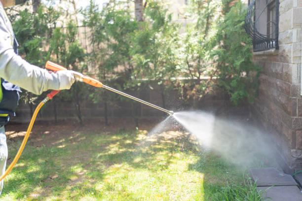 Best Wasp Removal Services  in Maria Stein, OH