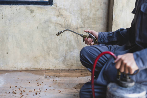 Best Best Pest Control Companies  in Maria Stein, OH