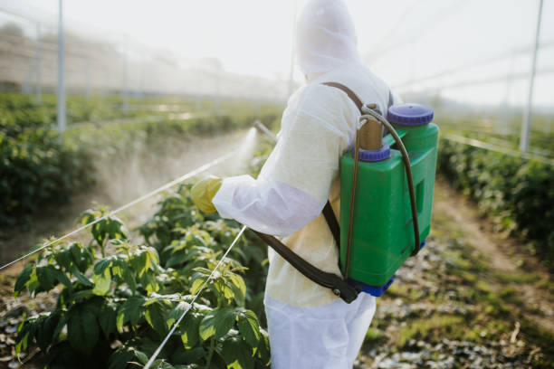 Best Flea Control Services  in Maria Stein, OH